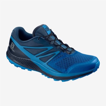Salomon SENSE ESCAPE 2 Mens Trail Running Shoes Blue UK CJDT